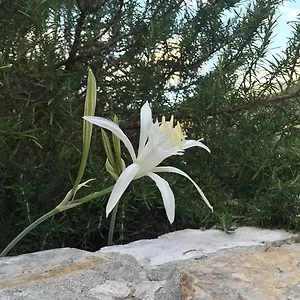 Ca' Di Bianca Affittacamere Moneglia